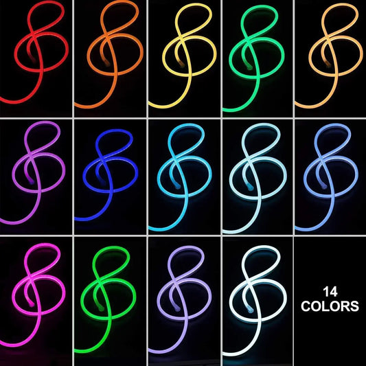 RF Controller with Remote for 110V 12.5x23mm-ProSelct NeonPlus RGB - Shine Decor