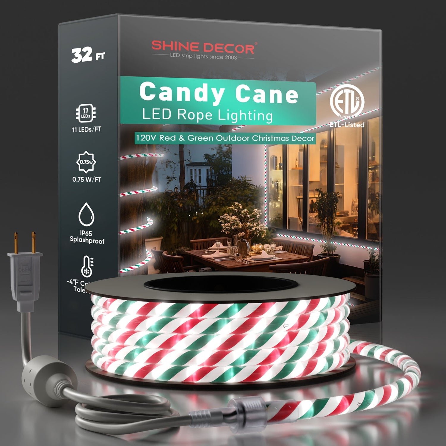 Holiday Rope Lights - Shine Decor