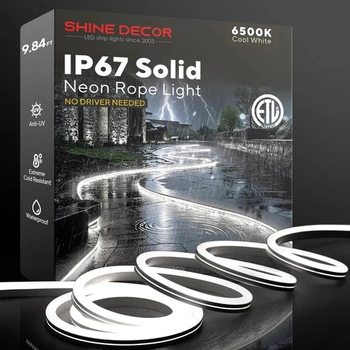 120V IP67 Outdoor White LED Neon Rope Light, Flexible, Driverless