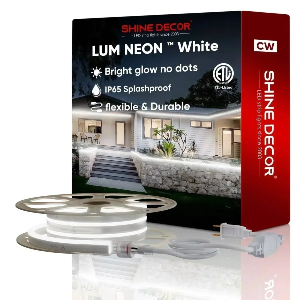 110V Bright Flexible LED Neon Rope Light, 6300K Cool White 226Lumens/M - Shine Decor