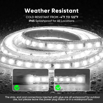 110V COB Led Strip Light, Driverless LED Tape Light-6000K Cool White 244LM/FT - Shine Decor