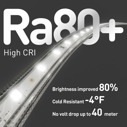 110V Eco LED Strip Light 6000K Cool White Energy Efficient 331Lumens/M - Shine Decor